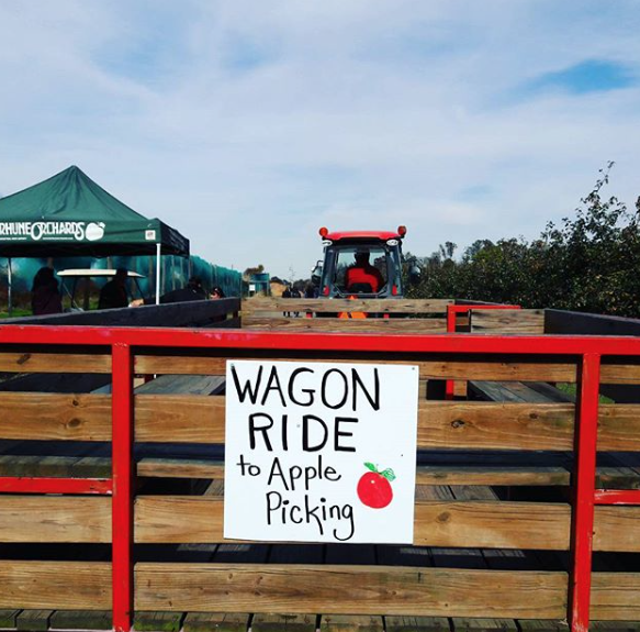 Terhune Orchards Wagon Ride to Apple Picking