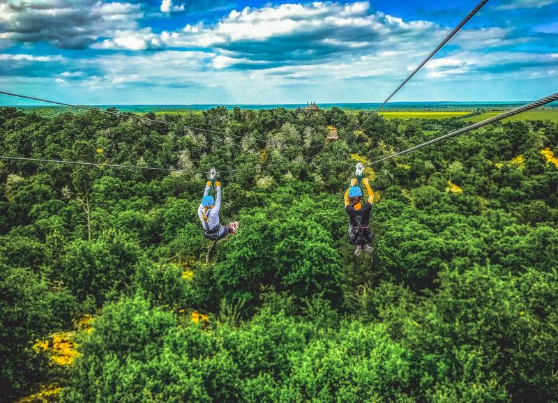 Zippin' thru the pines