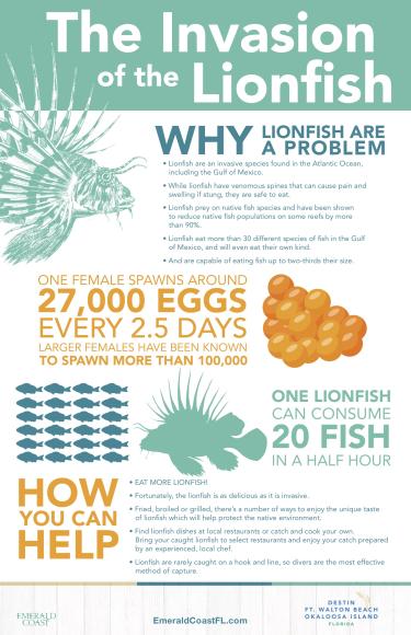Lionfish Infographic