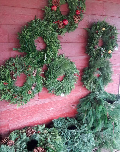 Terhune Orchards Trees