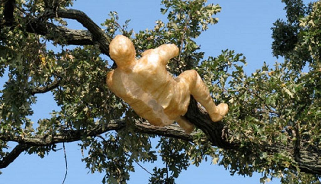Exuvia Public Art