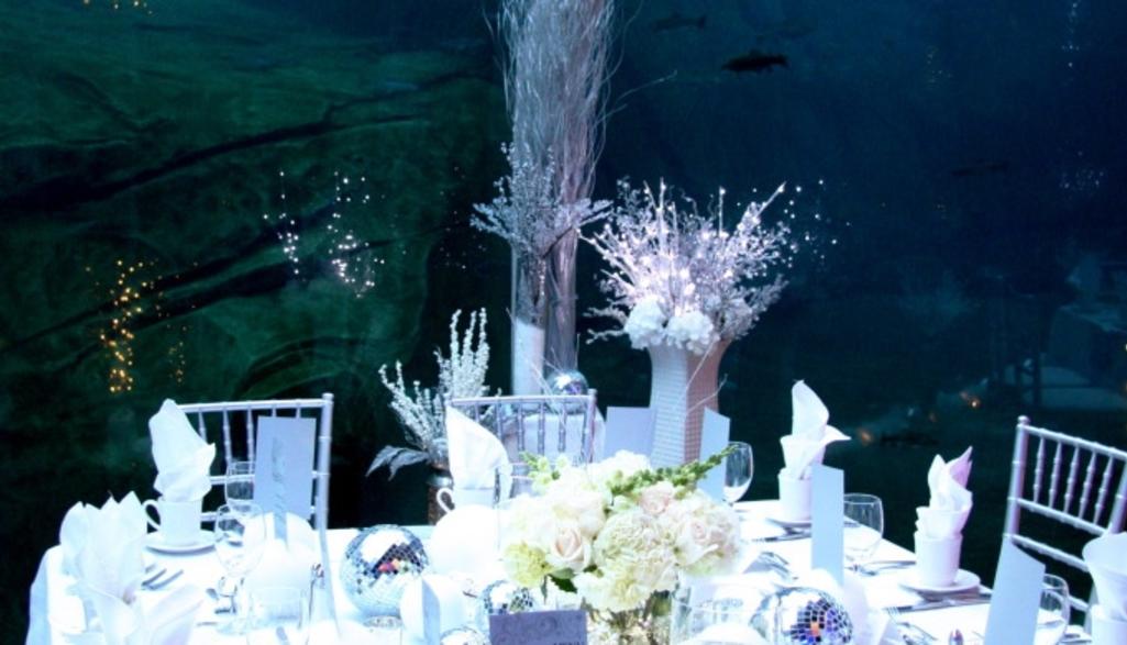 Zoo Table Set Up.jpg
