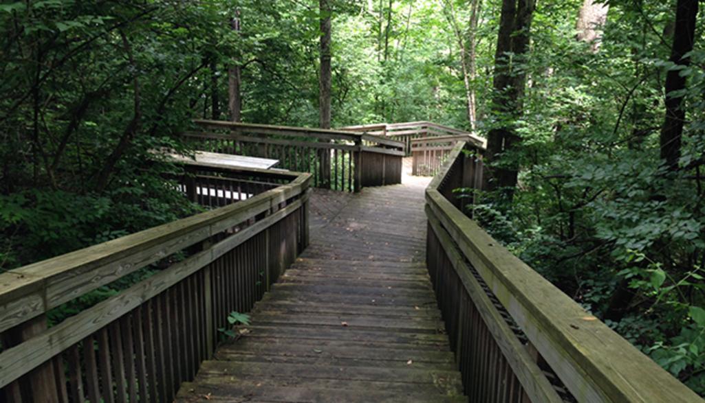 Amberleigh Park Walking Path