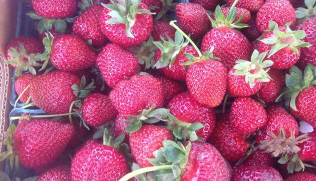 strawberry.jpg