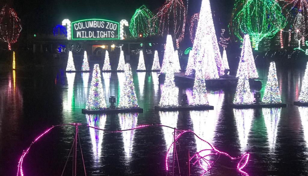 Wildlights
