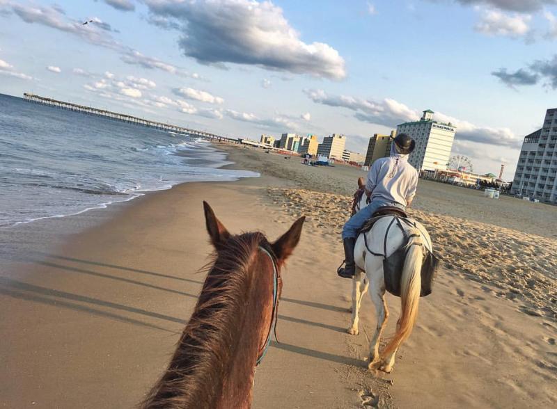 Horseback Riding Oceanfront