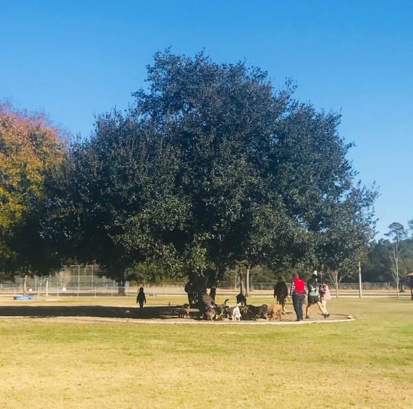 Pelican Bark Dog Park