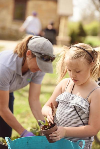 young girl, with blonde pigtails, pots a plant.