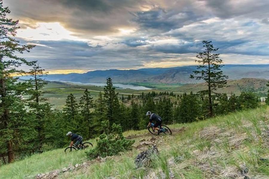 pineview bike trails