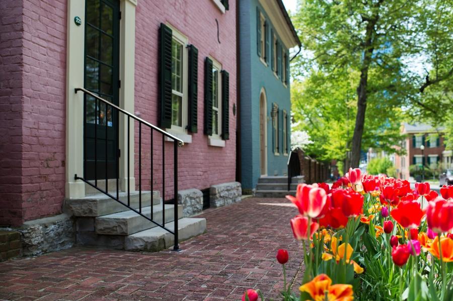 Gratz-Park-Pink-and-Blue-House-with-Tulips-medium