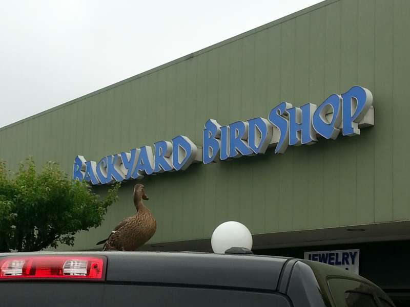 Backyard Bird Shop Portland Or : Backyard Bird Shop Coupons In Portland