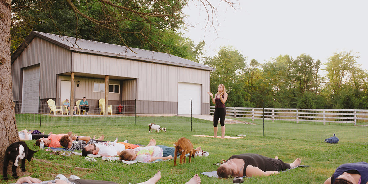 Goat Yoga