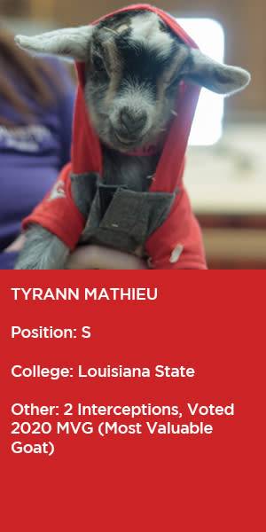 Tyrann-Mathieu-Goat