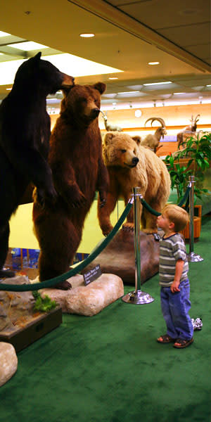 Provo Weekend Getaway - BYU Animal Museum