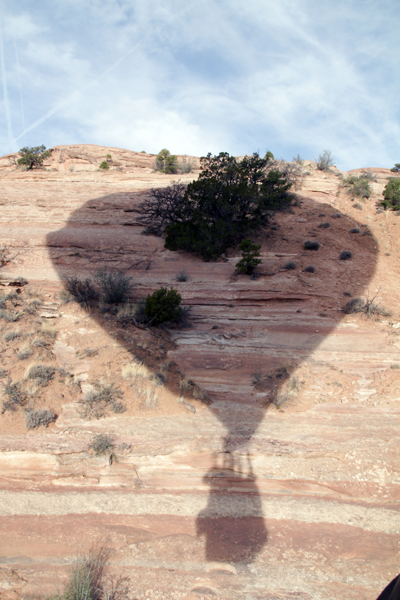 MICHAEL’S BLOG: NORTHWEST NEW MEXICO