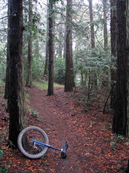 Joaquin Miller unicycle