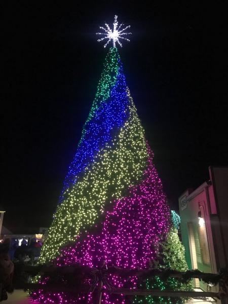 Wildlights At The Columbus Zoo