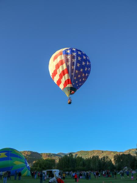 a hot air balloon in the air