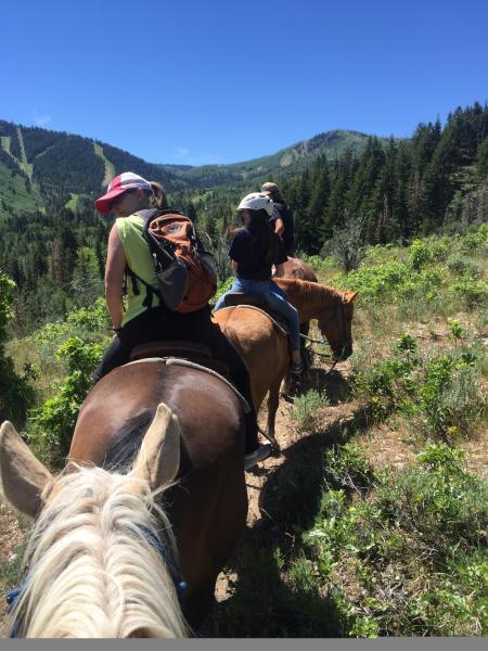 Group of people riding horses in a line