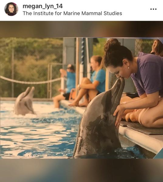 The Institute for Marine Mammal Studies