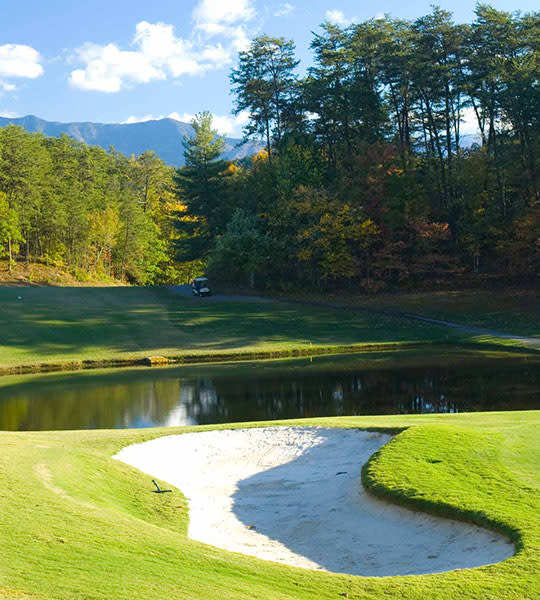 golf-540X600