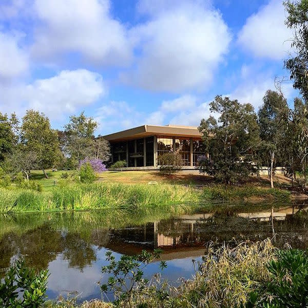 Your Perfect Day In Huntington Beach Central Park