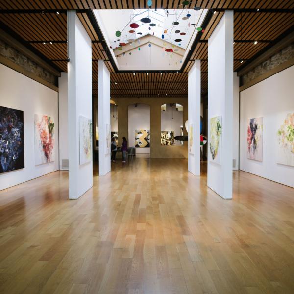 Ærena Gallery