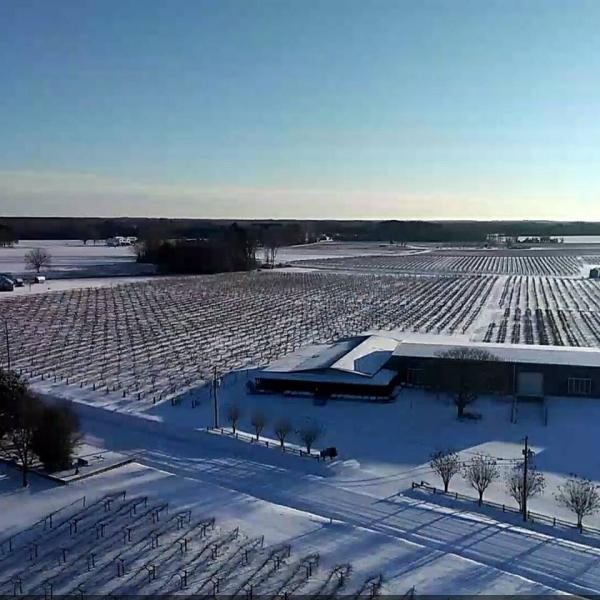 Hinnant Vineyards in snow