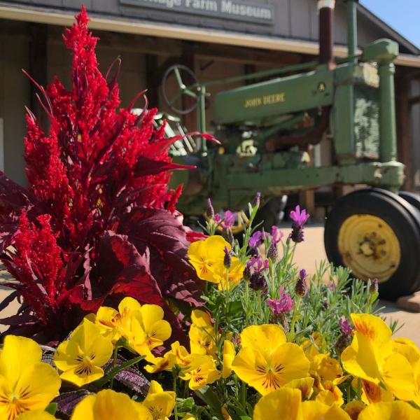 lhfm flowers and tractor