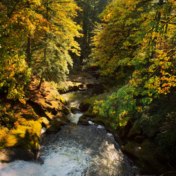 Lacamas Lake