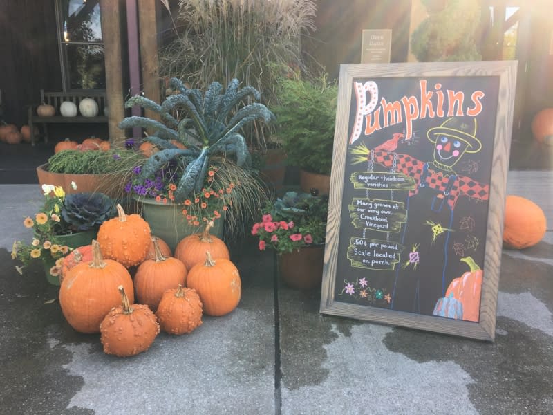 Halloween Fun in Bloomington, Indiana