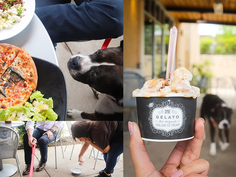 Pet Friendly Irving 5 Restaurants To Take Our Furry Friendss