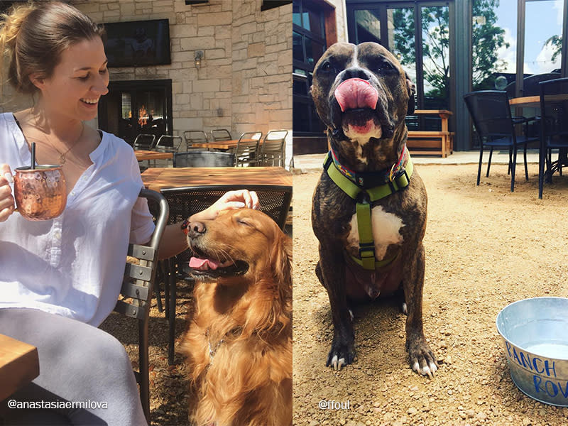 Enjoying patio dining with dogs at The Pavilion at The Ranch Las Colinas