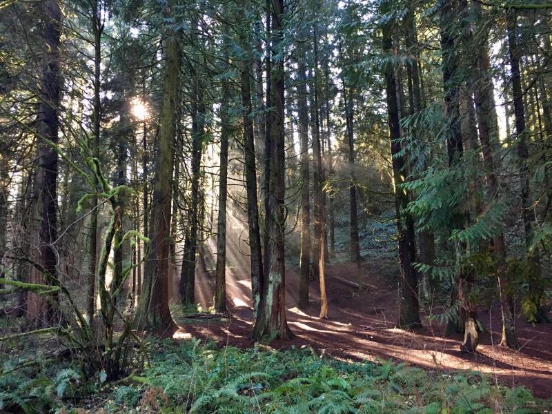 Burnt Bridge Creek Trail