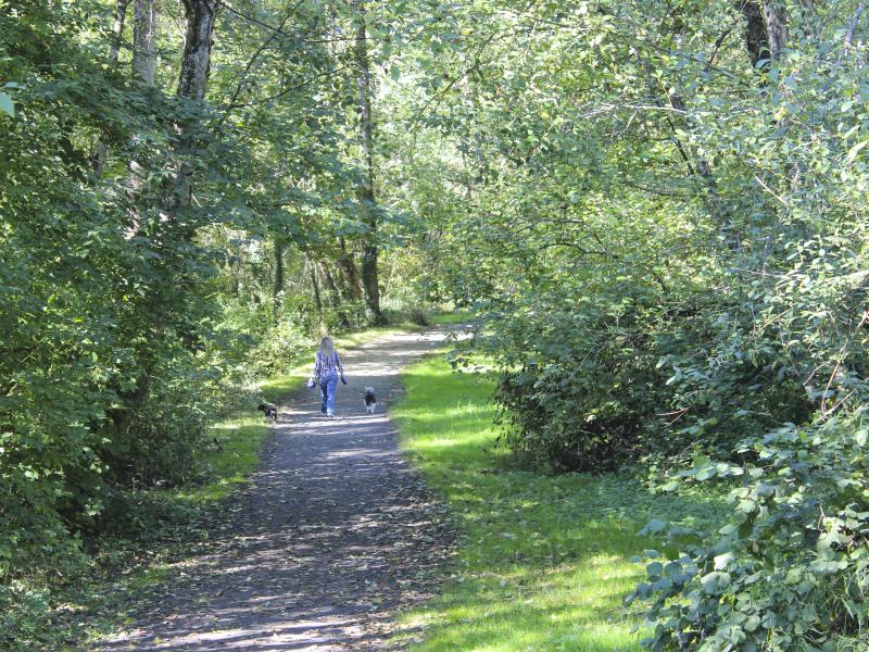 cougar creek trail