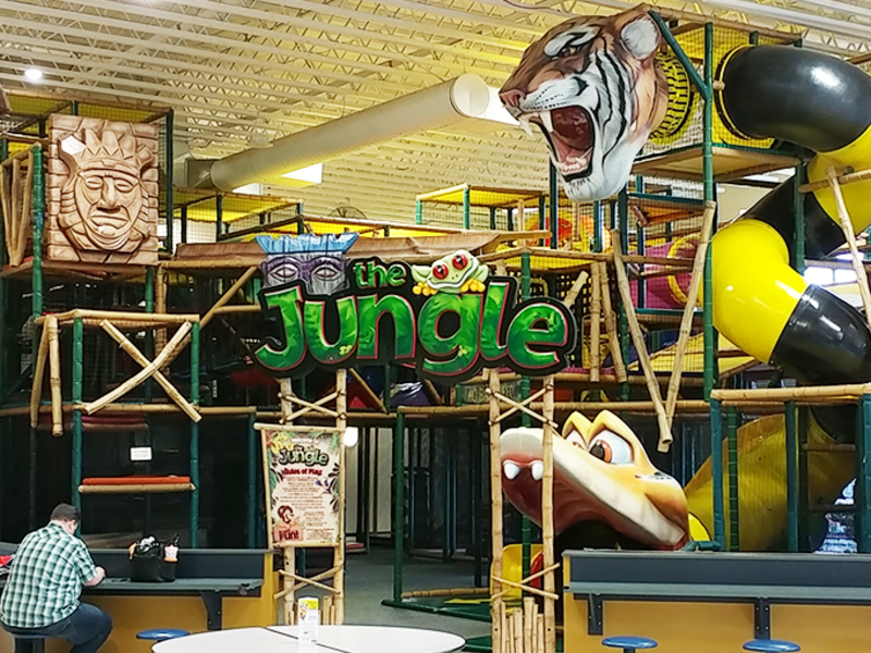 The Jungle
