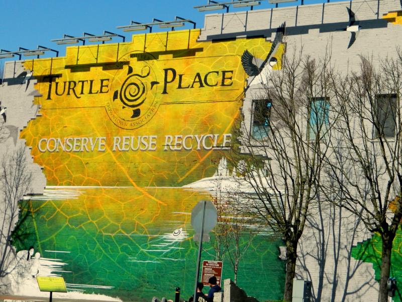 Turtle Place