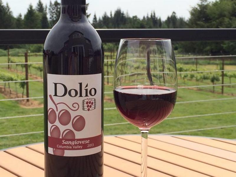Dolio