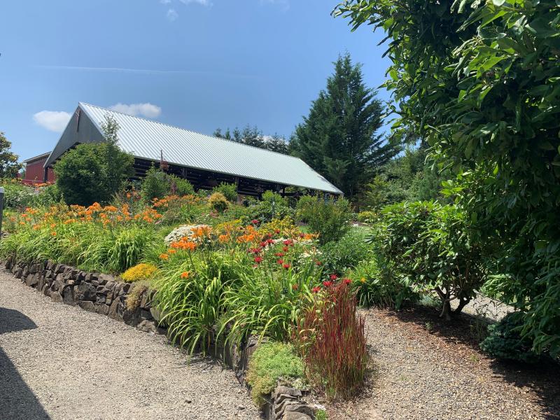 lucy's garden