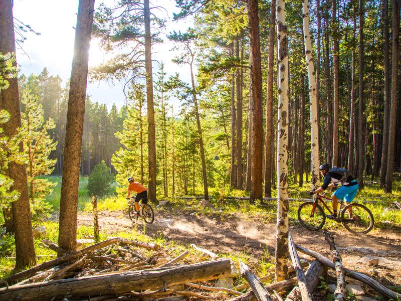 Friends Mountain Biking Through Casper Forest