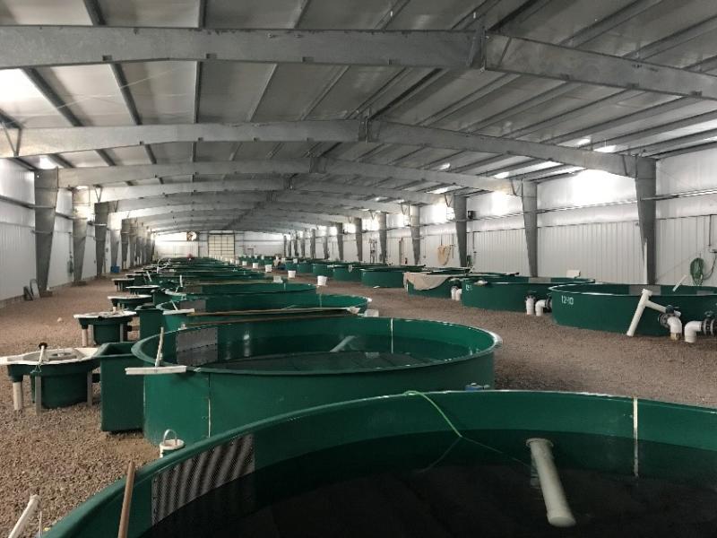 Speas Hatchery Tanks