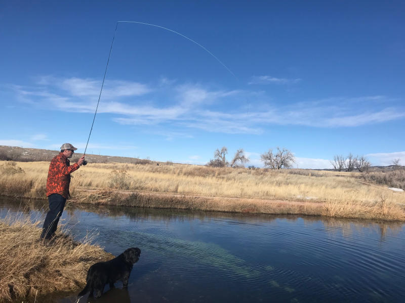 Two Trout, 5,000 Miles Apart 1