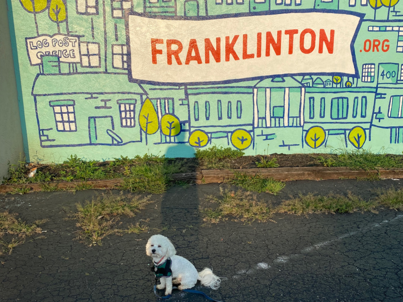 EC staffer Keiana Mitchell's dog Killian in Franklinton
