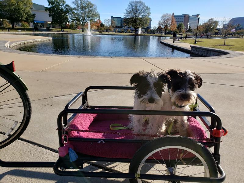 Huntsville Pups in Bike