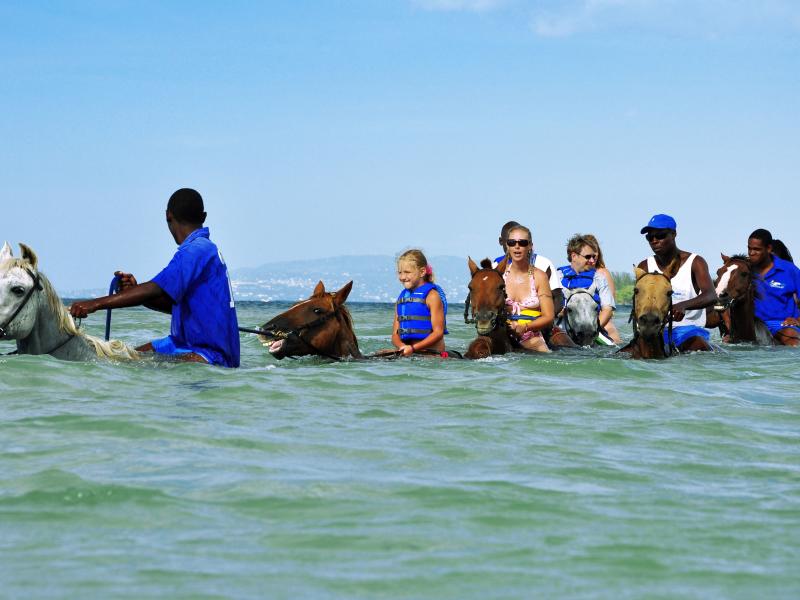 Horseback Ride and Swim