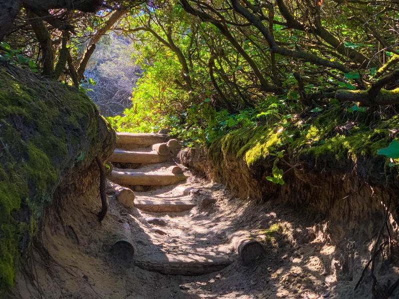 Hobbit Beach trail by Melanie Griffin Hobbit Beach trail by Melanie Griffin