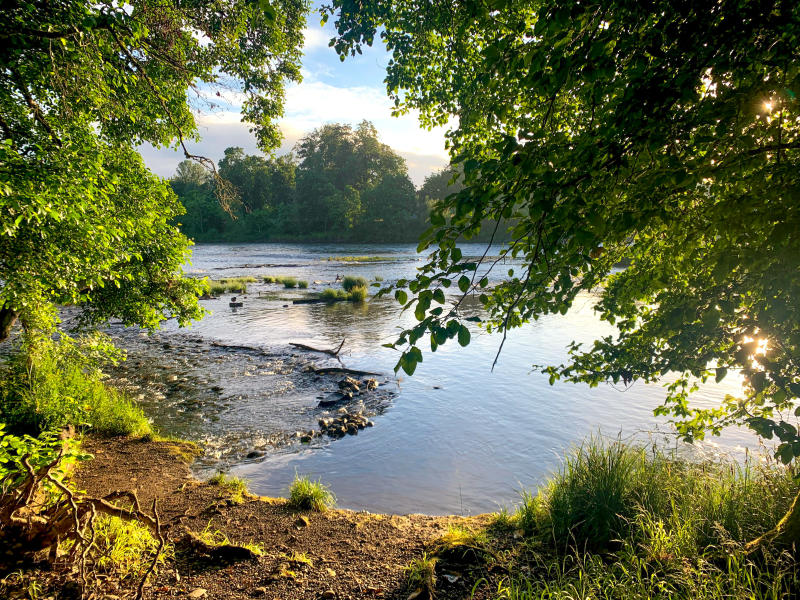 Willamette River in summer by Melanie Griffin Willamette River in summer by Melanie Griffin