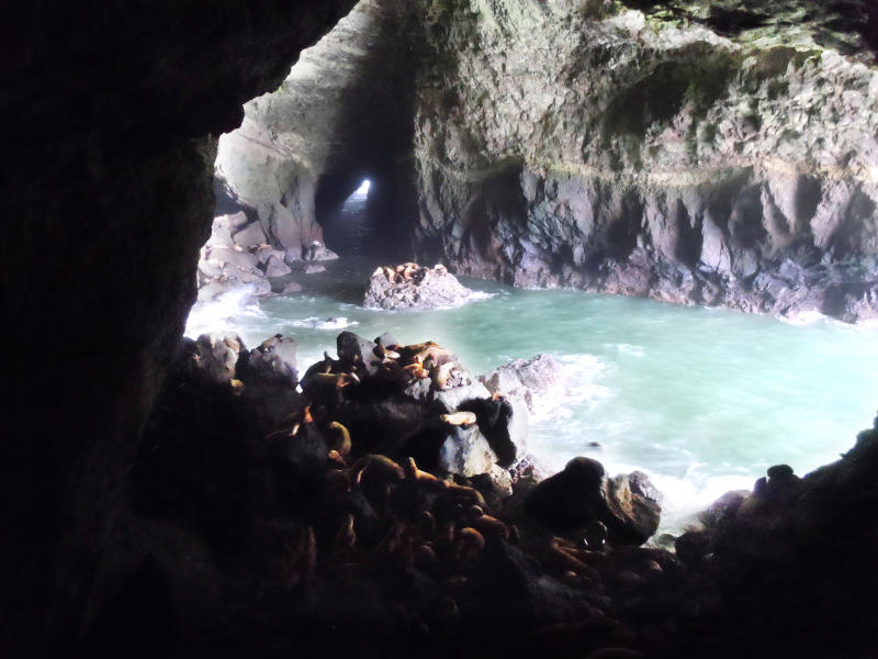 Inside the Sea Lion Caves Sea Lion Caves