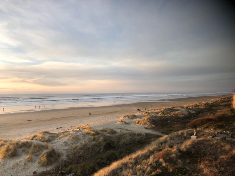 Beach at Driftwood Shores by Diana Wells Beach at Driftwood Shores by Diana Wells