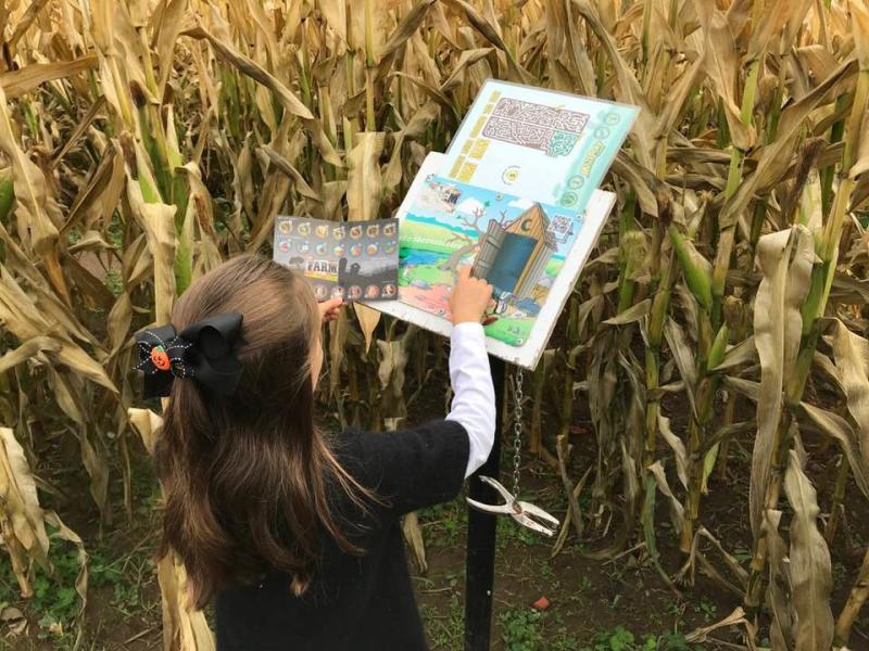 Mystery Corn Maze at Northern Lights Christmas Tree Farm by Taj Morgan Mystery Corn Maze at Northern Lights Christmas Tree Farm by Taj Morgan